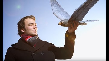 Robotic Birds | The Henry Ford’s Innovation Nation