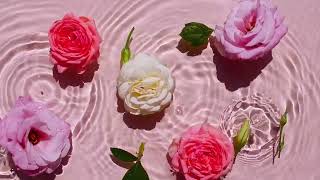 Peaceful Soothing Dripping Water On Rose water and Calm Relaxing Music screenshot 4
