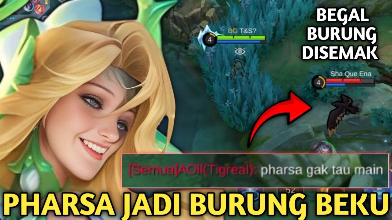 AURORA BEGAL PHARSA DI SEMAK SEMAK SAMPE JADI BURUNG BEKU! BUILD AURORA TERSAKIT 2024!MOBILE LEGENDS