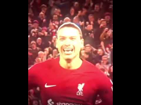 darwizzy - YouTube