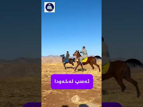 بینین و سواربونی ئەسپ لەخەودا اکسپلور خەون