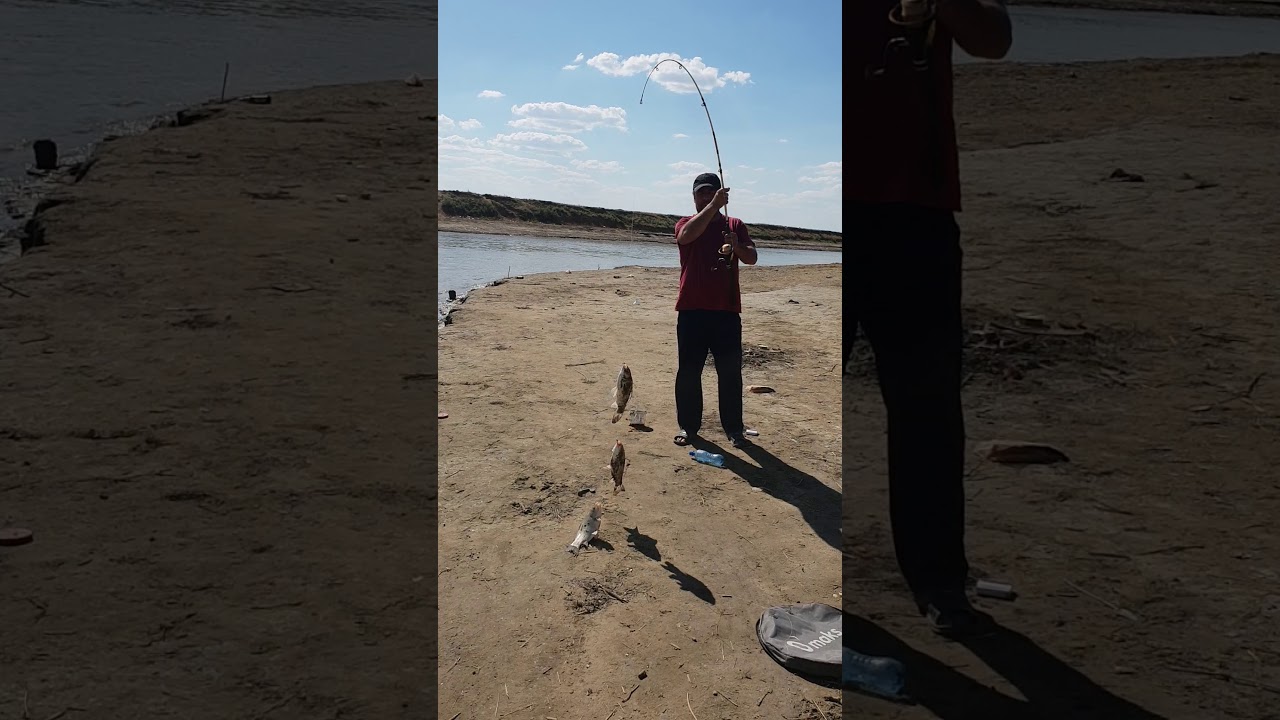 Озеро зункарь нефтекумский район Озеро зункарь нефтекумский район