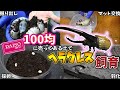 【完全版】ダイソーの激安マットでヘラクレスオオカブトをブリードした結果をまとめてみた