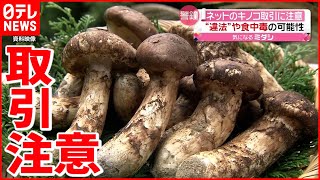 【注意】ネットのきのこ取引  違法や食中毒の可能性も