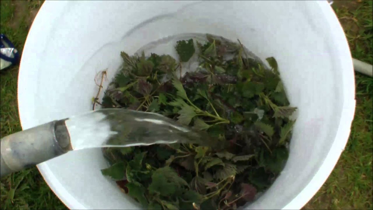 Dünger / Brennesseljauche ansetzen 24 04 2015 Die SelberMacher