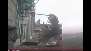 LIVE Great Yarmouth, Norfolk. Wild window birdcam & Weather