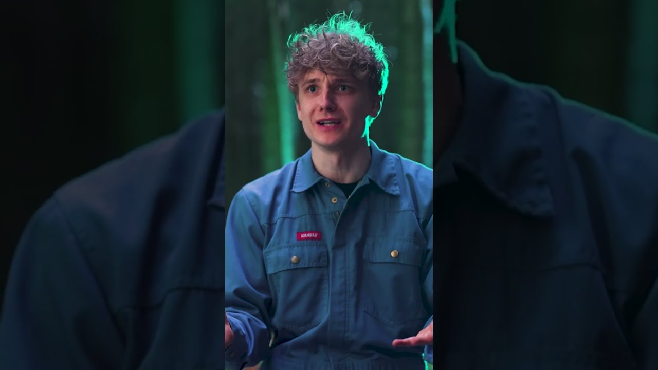 Se RobinSamse Og MrSpyplant Spille Minecraft I Virkeligheden DRUltra AltErTilladt DRTV