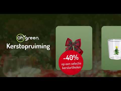 Kerstopruiming Landscape 01