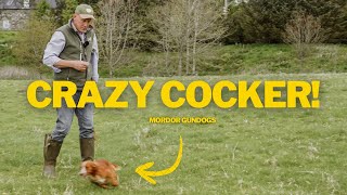 How To WALK Your UNPREDICTABLE Dog