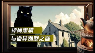 迷失在鏡子中:一個留學生的詭異別墅經歷與黑貓之謎 | 圍爐夜話講故事 迷失在鏡子中:一個留學生的詭異別墅經歷與黑貓之謎 | 圍爐夜話講故事