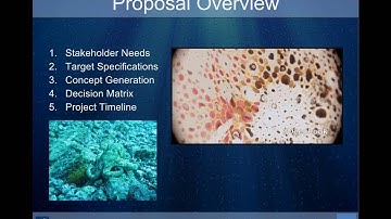 Team 4 Concept Proposal Video