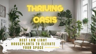 Transform Your Space with these Low Light Houseplants