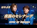 新曲【夜霧のセレナーデ】はやぶさ  cover🎤kayoppe
