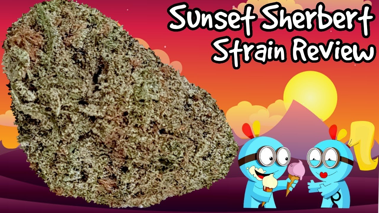 Sunset Sherbert OFFICIAL Strain Review 🌅 🌇 🌅