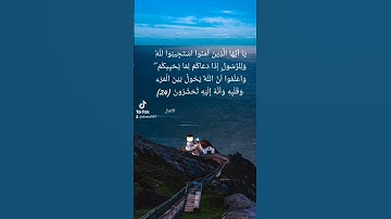 تلاوة عذبة للشيخ صلاح باعثمان
