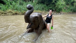 1 day taking care of ELEPHANTS in THAILAND  | Gladys Seara