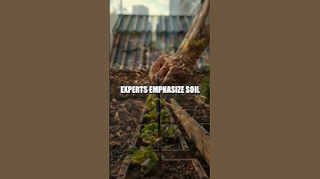 Regenerative Tiny Spaces for Big Impact