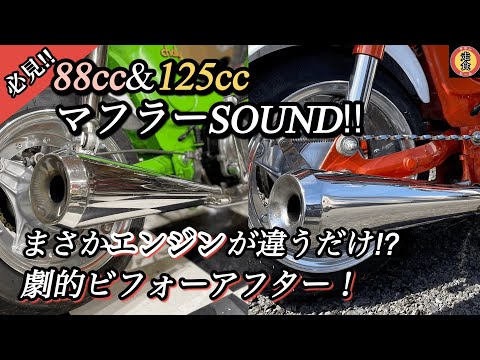 参考動画】88ccと125ccの排気音の違い #シャリー #4mini #水本