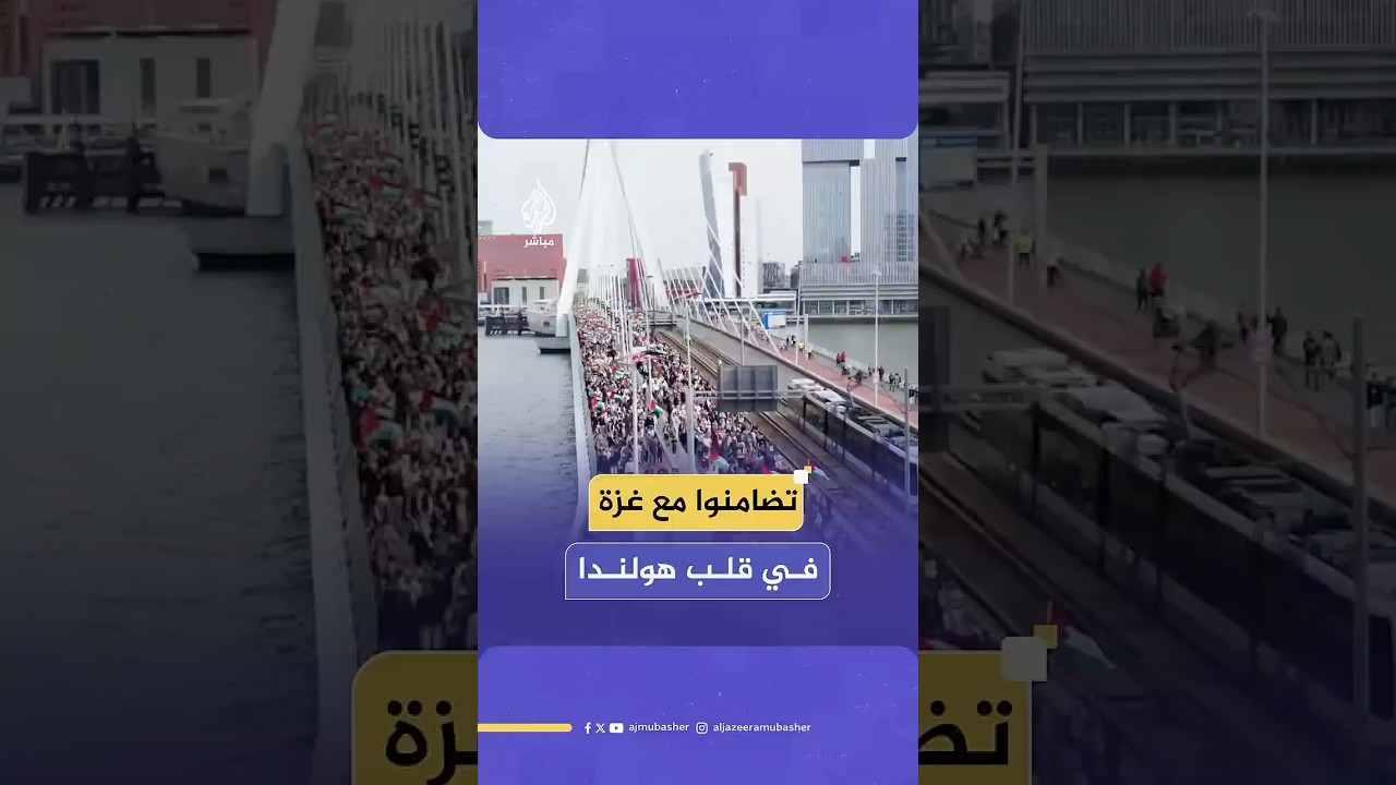 منددة بالحرب على قطاع غزة.. مشاهد جوية لمظاهرة تضامنية مع فلسطين في مدينة روتردام الهولندية