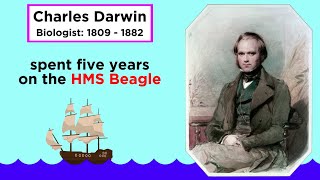 Charles Darwin's Idea: Descent With Modification