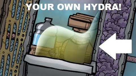 Oxygen Not Included nuggets - How to make a hydra!