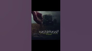 سورة الواقعة || الاية (( أفرأيتم ما تحرثون )) حالة واتس أب دينية