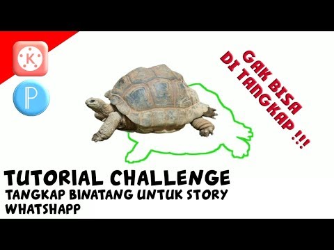 Video: Cara Menambal Windows Vista untuk Mengaktifkan Tema Khusus (Gaya Visual)