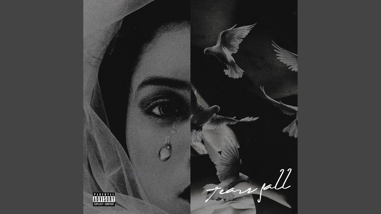Obejrzyj Tears Fall w YouTube Obejrzyj Tears Fall w YouTube