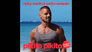 Ricky Martin & Pedro Sampaio - Pikito Pikito [DJ Edson Hard Club Remix]