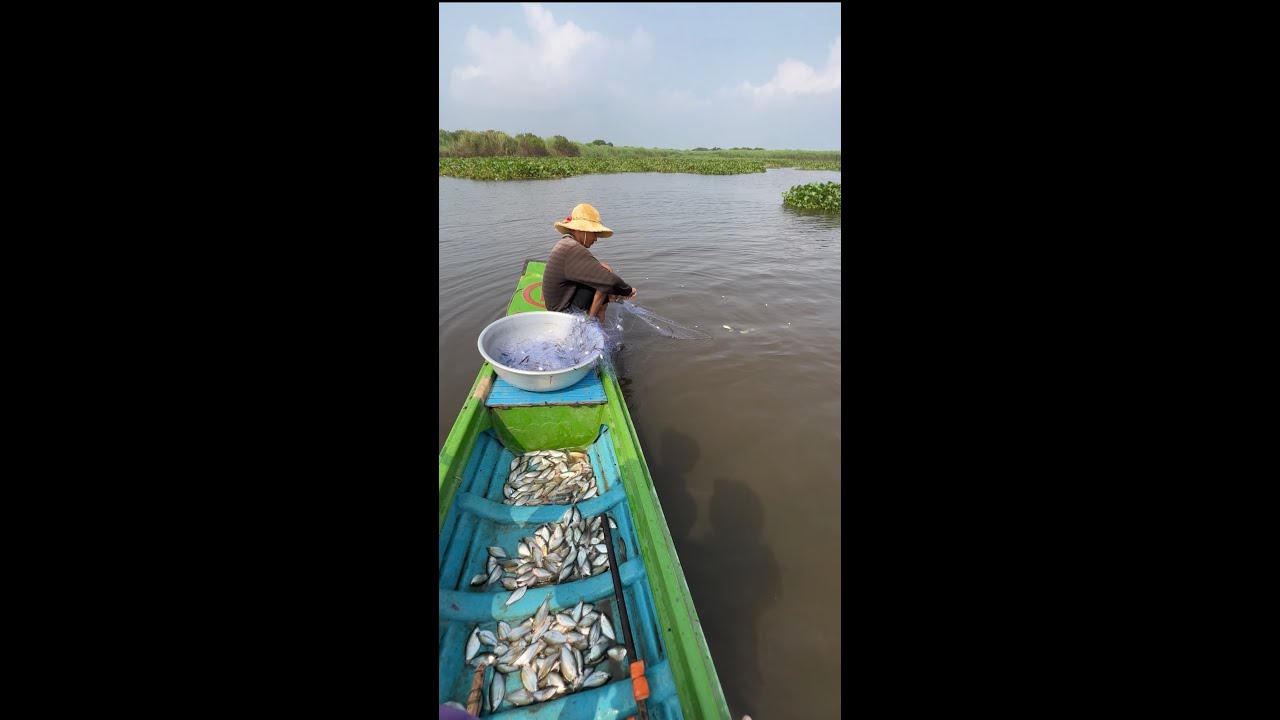 រាយលេងៗបាន៦គីឡូ ធំៗល្អណាស់