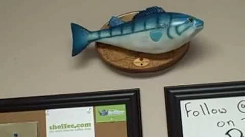 Gimmee Back That Filet-O-Fish (Remix) - Shoffee.com