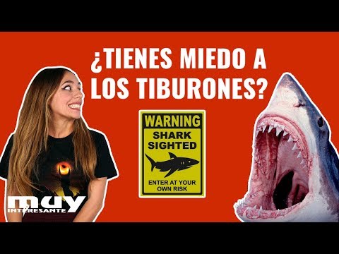Vídeo: 4 Formas En Que La Ciencia Puede Ayudarte A Superar Tu Miedo A Los Tiburones