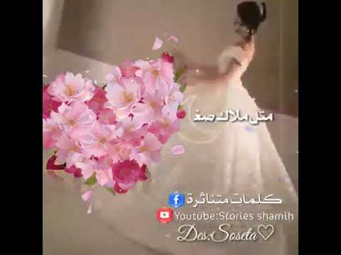 طل القمر