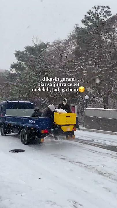 Salju Turun Lebat di Korea🇰🇷❄️