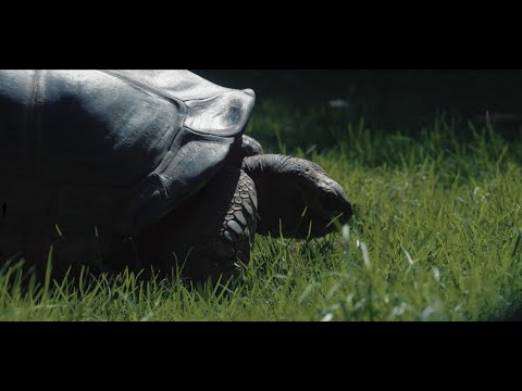 A Trip to The Melbourne Zoo