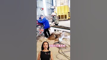 #fcnfm #sgyoutube The Ultimate Drying Room for Efficient Dehydration of Fresh Ingredients