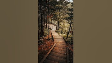سورة قريش ـ القارئ إسلام صبحي💚