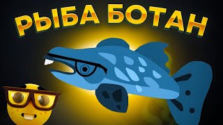 Cat Goes Fishing. НОВЫЙ МОД: РЫБА-ОЧКАРИК!