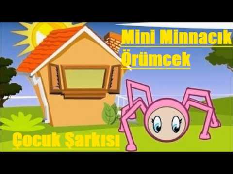 Mini minnacık örümcek,
