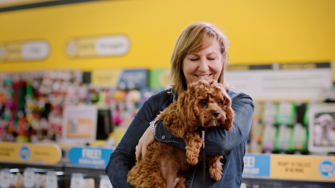 Petbarn More Than Just A Pet Store YouTube