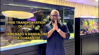 FREE TRANSPORTATION | EXOTIC FISHES FOR SALE | CHENNAI AQUARIUM PVT LTD