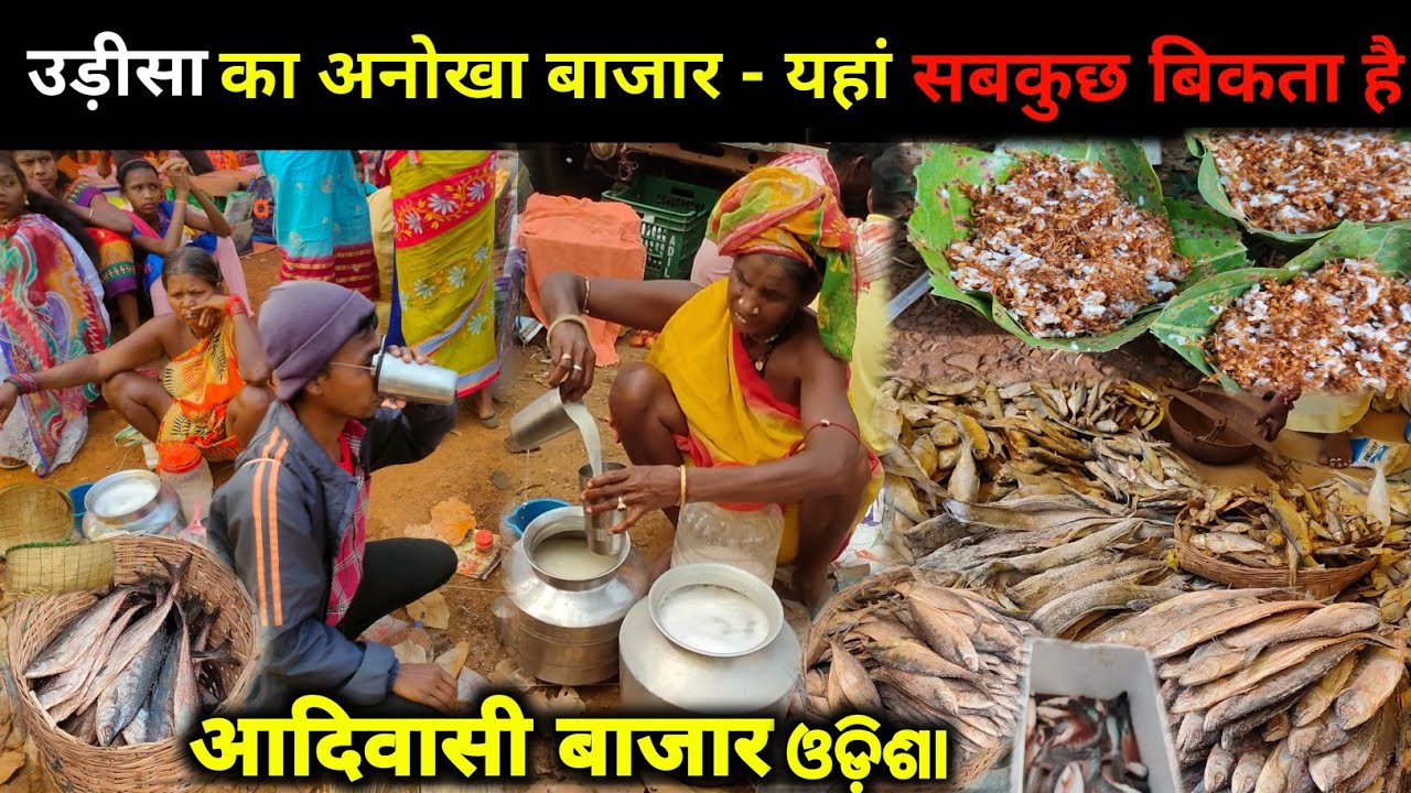 उड़ीसा का अनोखा बाजार - यहां मिलता हैं सबकुछ ,Tribal Drinking ,Odisha Tribes ,Markets & Villages 2024