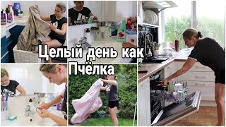 видео: 🔥МОЩНАЯ МОТИВАЦИЯ | КАК ХРАНЮ ГЕЛИ ДЛЯ СТИРКИ НОВАЯ СТИРАЛЬНАЯ МАШИНА #юлияпушнегина #уборка #стирка картинка: 🔥МОЩНАЯ МОТИВАЦИЯ | КАК ХРАНЮ ГЕЛИ ДЛЯ СТИРКИ НОВАЯ СТИРАЛЬНАЯ МАШИНА #юлияпушнегина #уборка #стирка