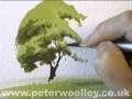 A Simple Tree - Watercolour Demonstration by PETER WOOLLEY