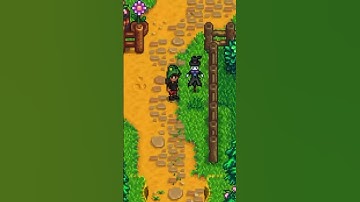 Stardew Valley Rarecrows and How to Unlock The Deluxe Scarecrow