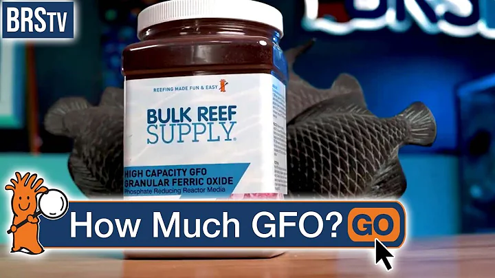 How Much GFO Does a Reef Tank Need?