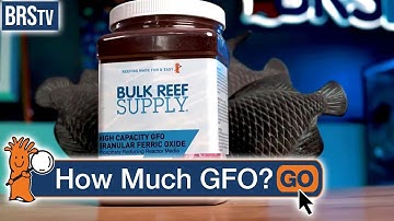 How Much GFO Does a Reef Tank Need?