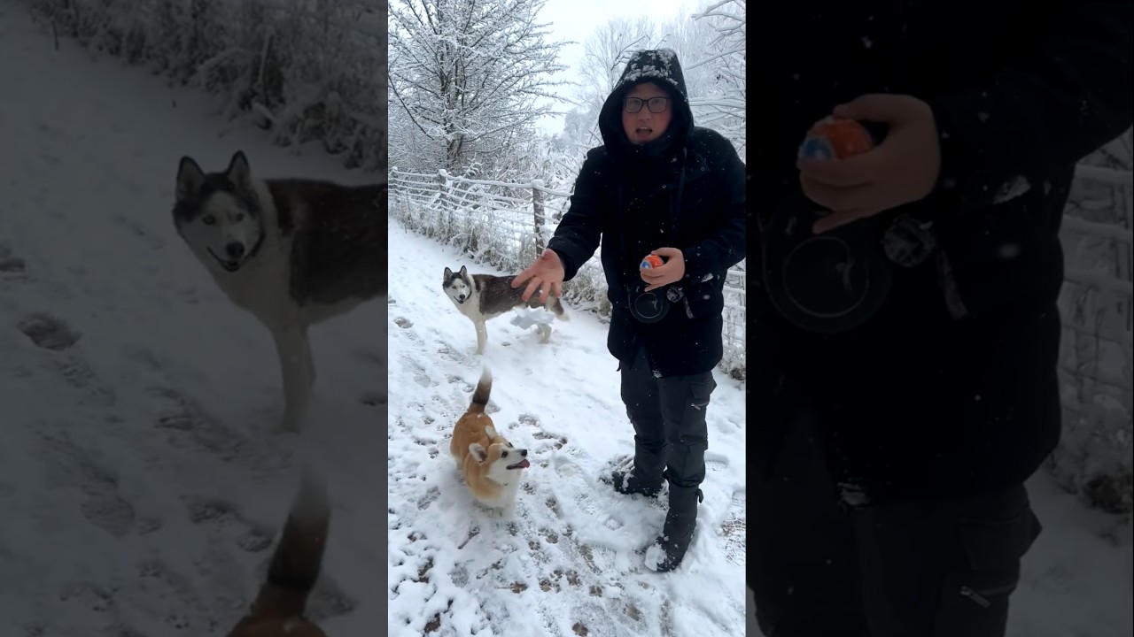 GENIETEN IN DE SNEEUW!