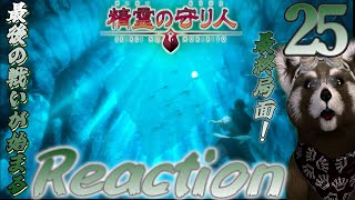 精霊の守り人 同時視聴