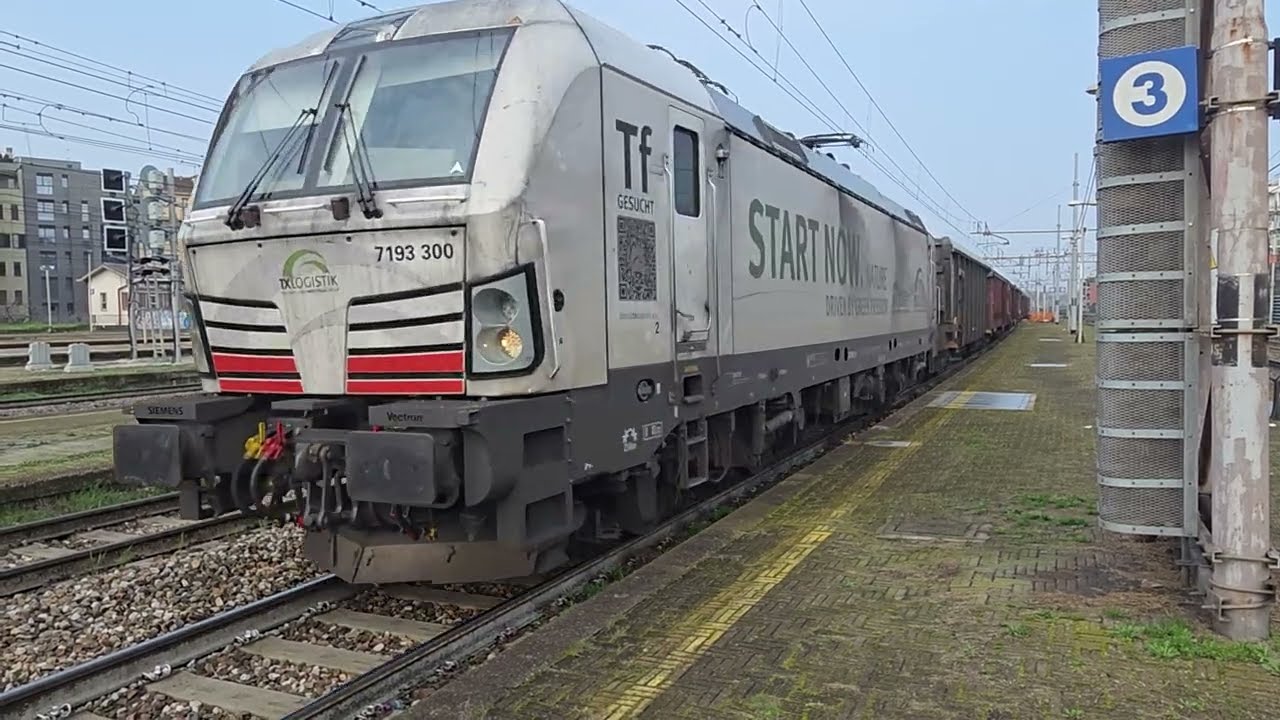 TX LOGISTIK  E 7193-300. TF  STAR  NOW NATURE  CON TAMNS-   CHIASSO- REGGIO EMILIA